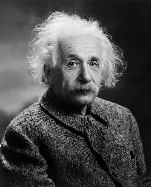 Einstein, génie en mouvement
