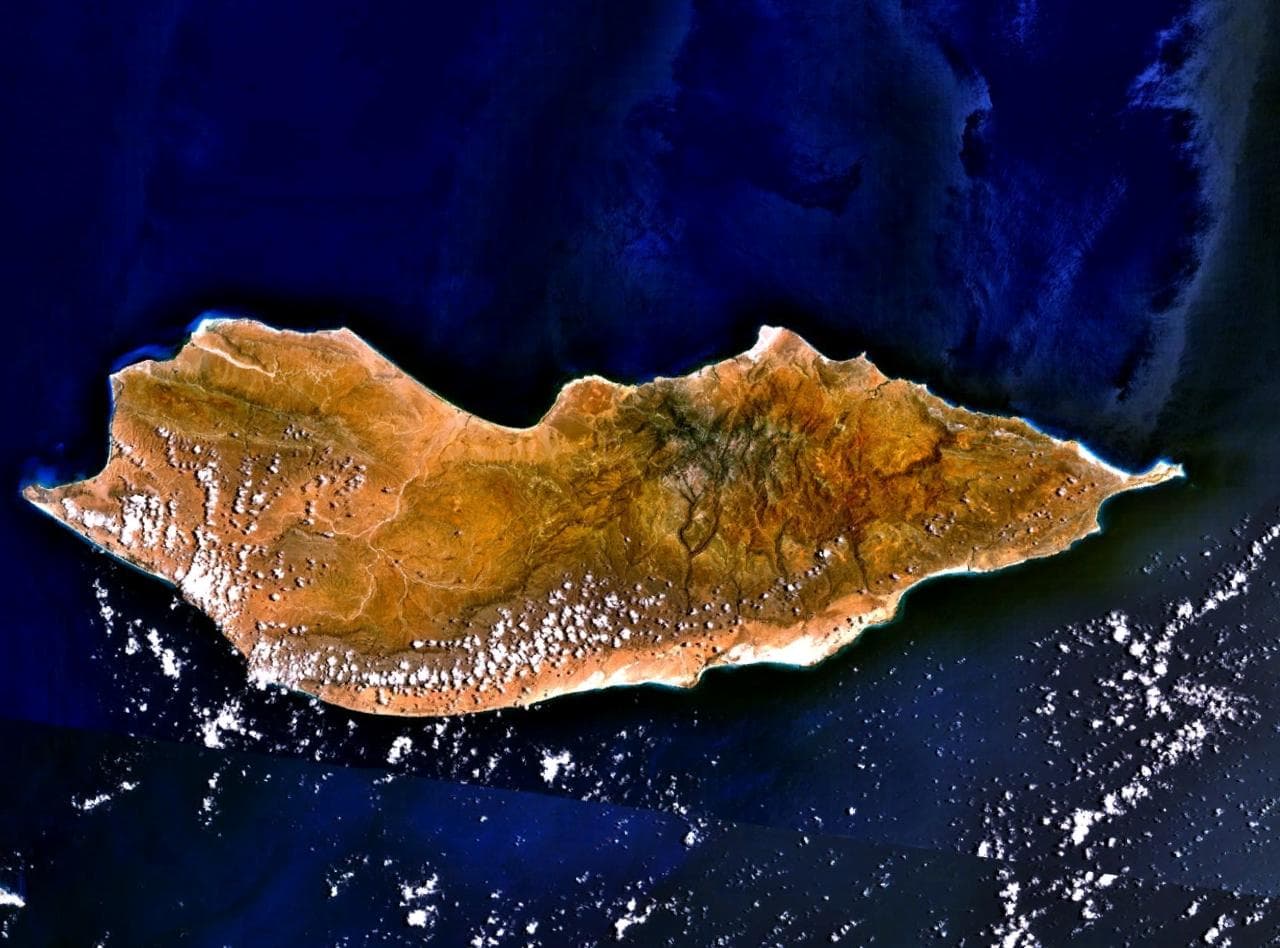 Socotra, l'île aux arbres-dragons