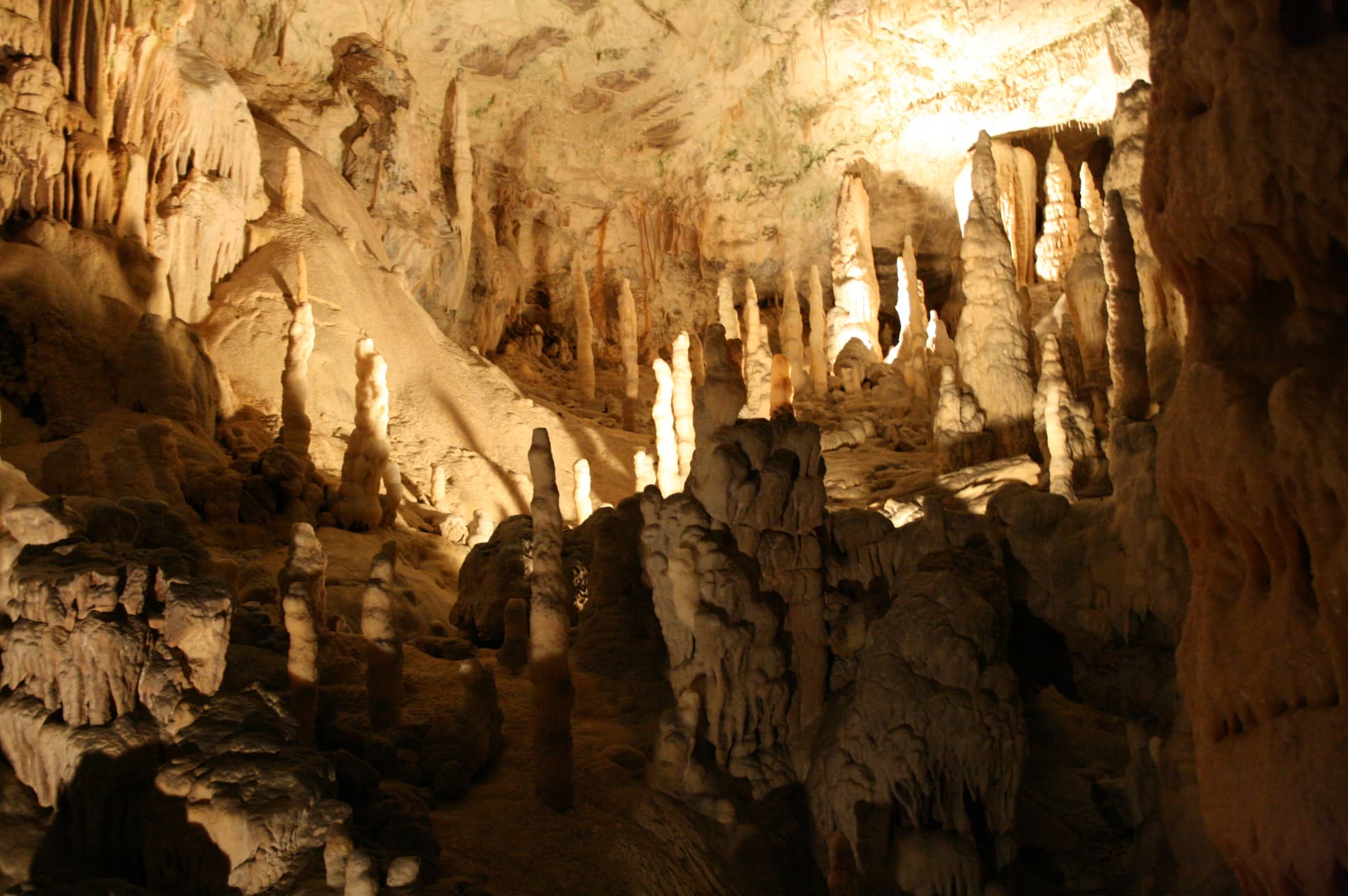 Postojna et le dragon des grottes
